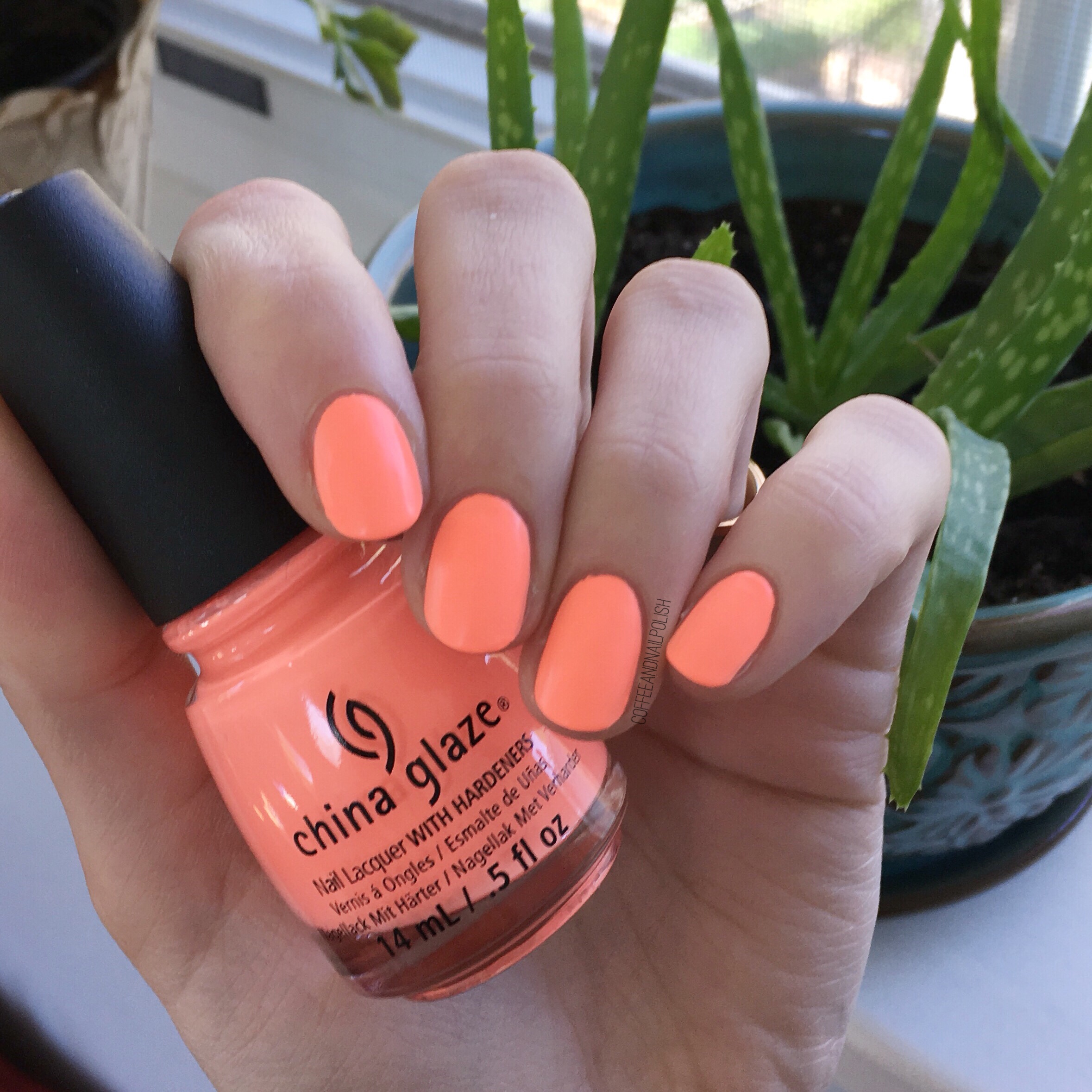 SWATCH SUNDAY — China Glaze Flip Flop Fantasy – Coffee & Nail Polish